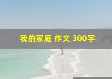 我的家庭 作文 300字